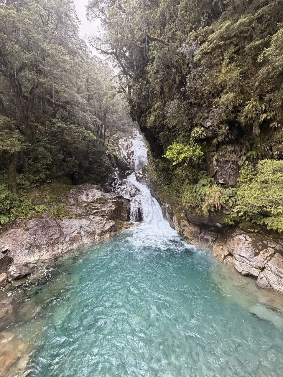 113_2026-03-27_fiordland-national-park.jpg