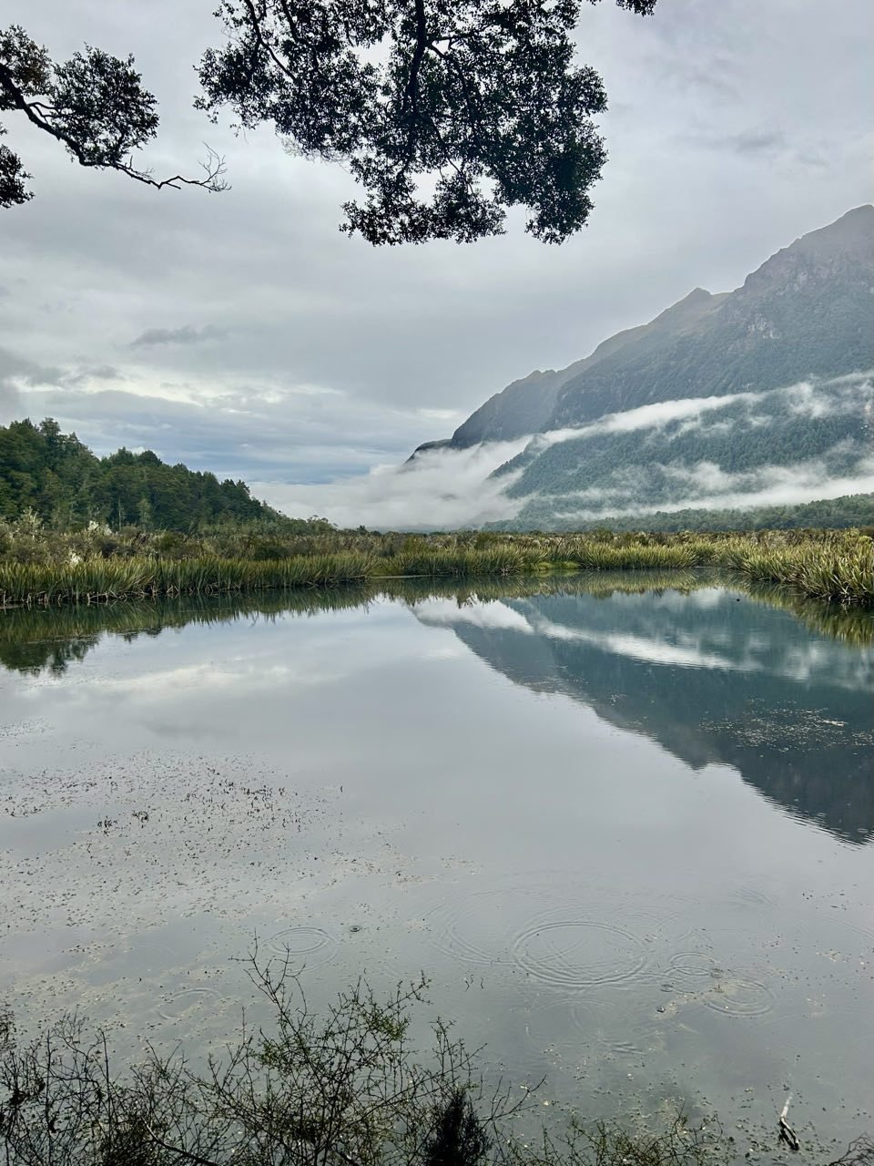 112_2026-03-27_fiordland-national-park.jpg