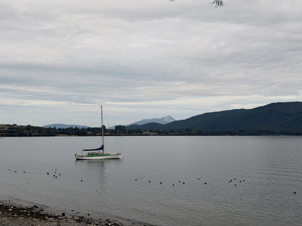101_2026-03-26_te-anau.jpg