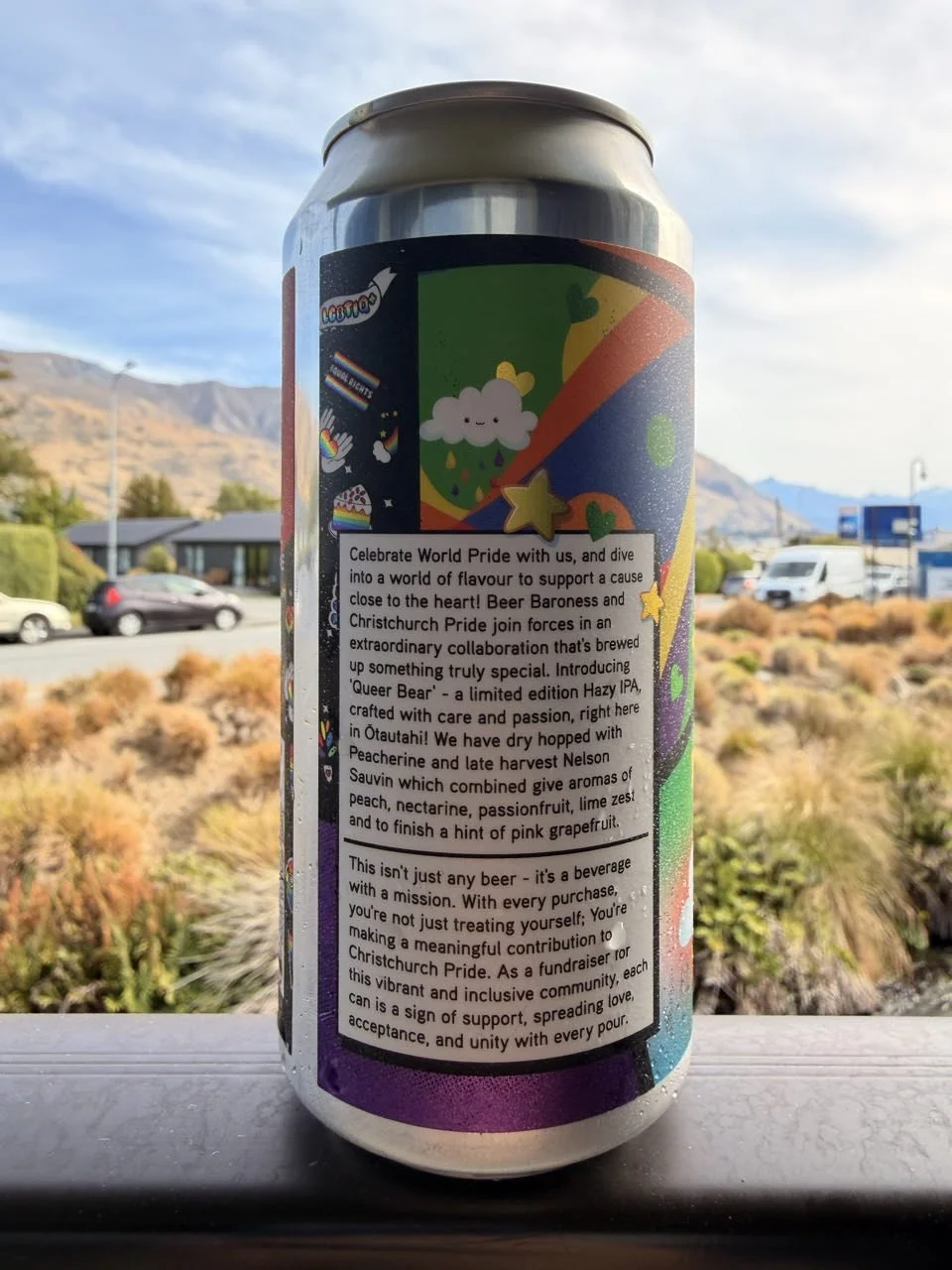 070_2026-03-25_wanaka.jpg