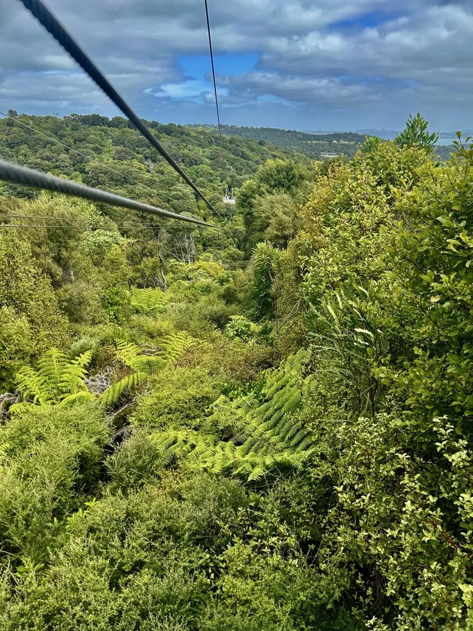 183_2026-03-31_waiheke.jpg