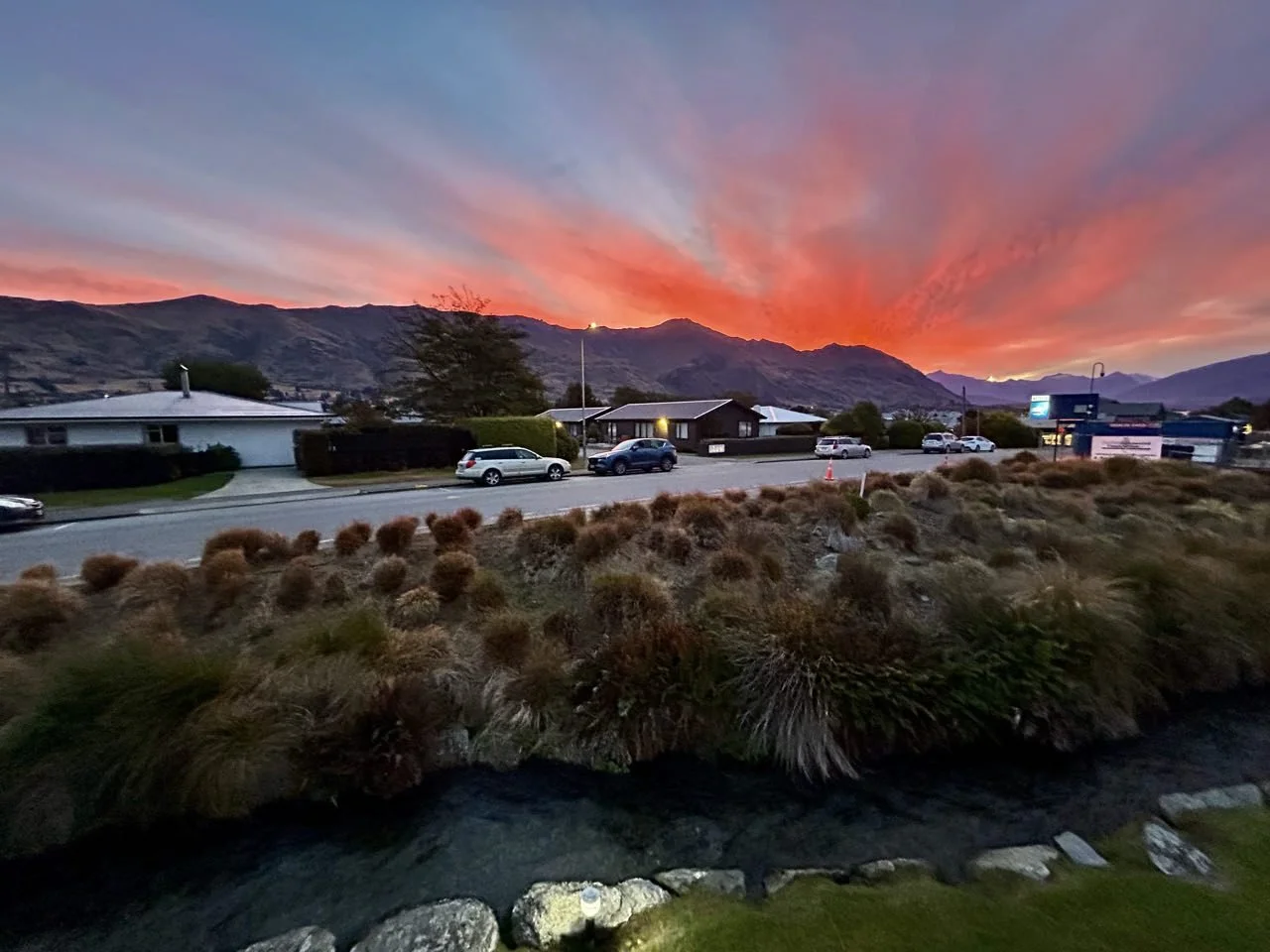 075_2026-03-25_wanaka.jpg