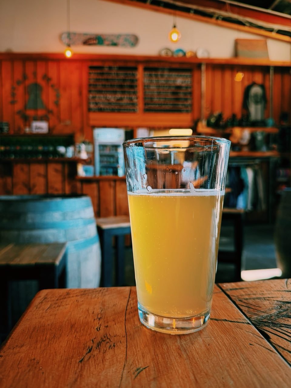 rhyme-x-reason-wanaka.jpg