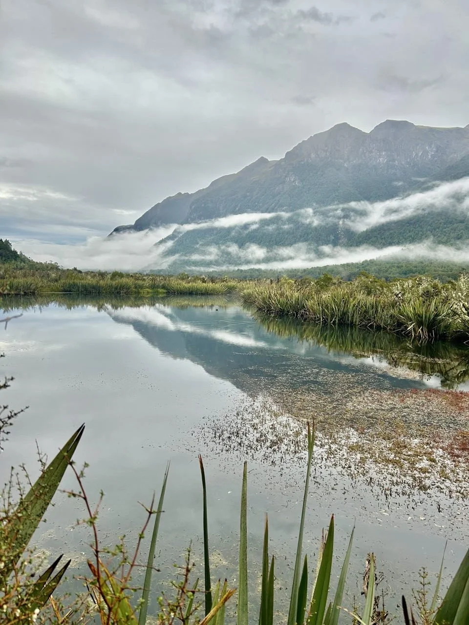 111_2026-03-27_fiordland-national-park.jpg