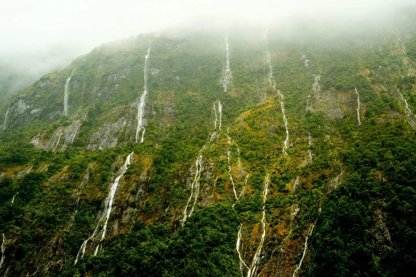 128_2026-03-27_milford-sound.jpg