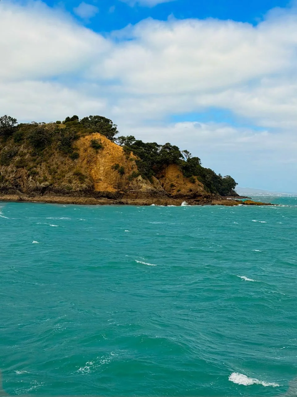 197_2026-03-31_waiheke.jpg