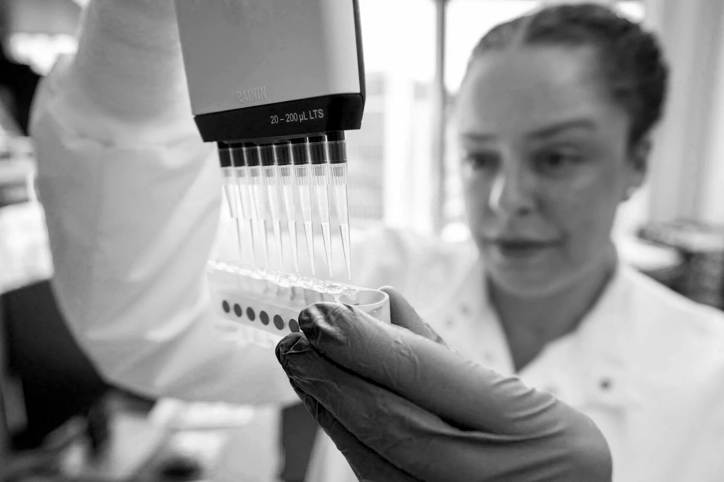 Investigator holding a multichannel pipette and extracting liquid from tubes