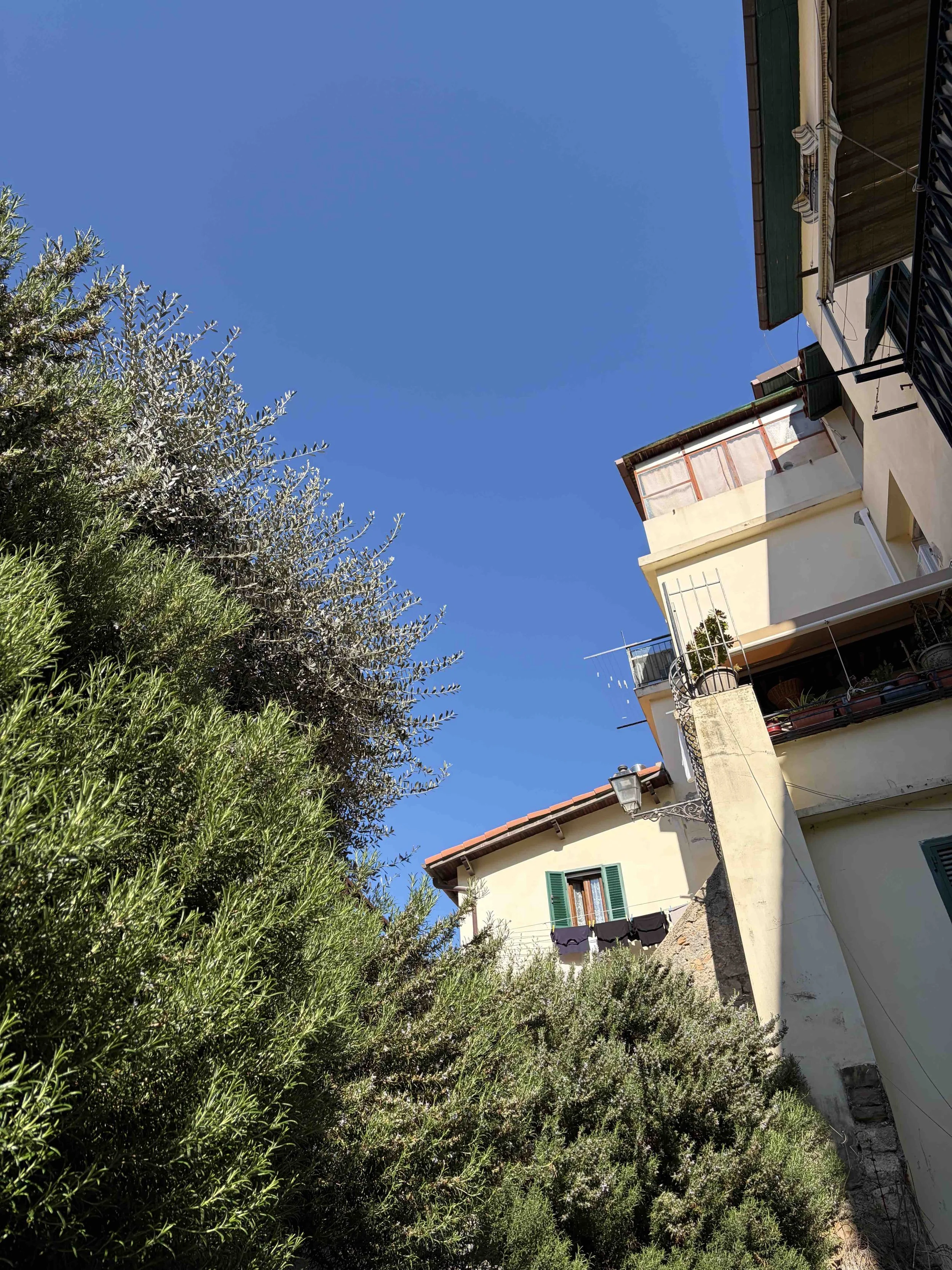 View of Casa Fiori surrounded by Mediterranean greenery, one of the welcoming ventimiglia apartments for a relaxing Liguria getaway.