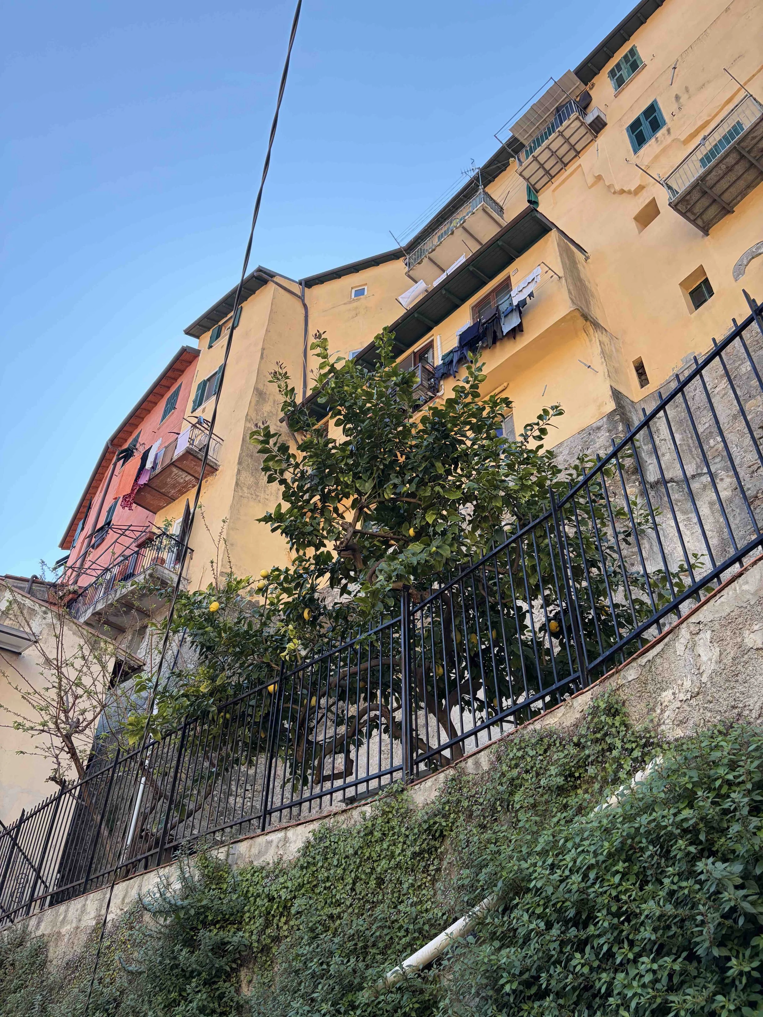 Colourful historic buildings surrounding Casa Rivai, showcasing stylish holiday rentals in liguria in the heart of Ventimiglia Alta.