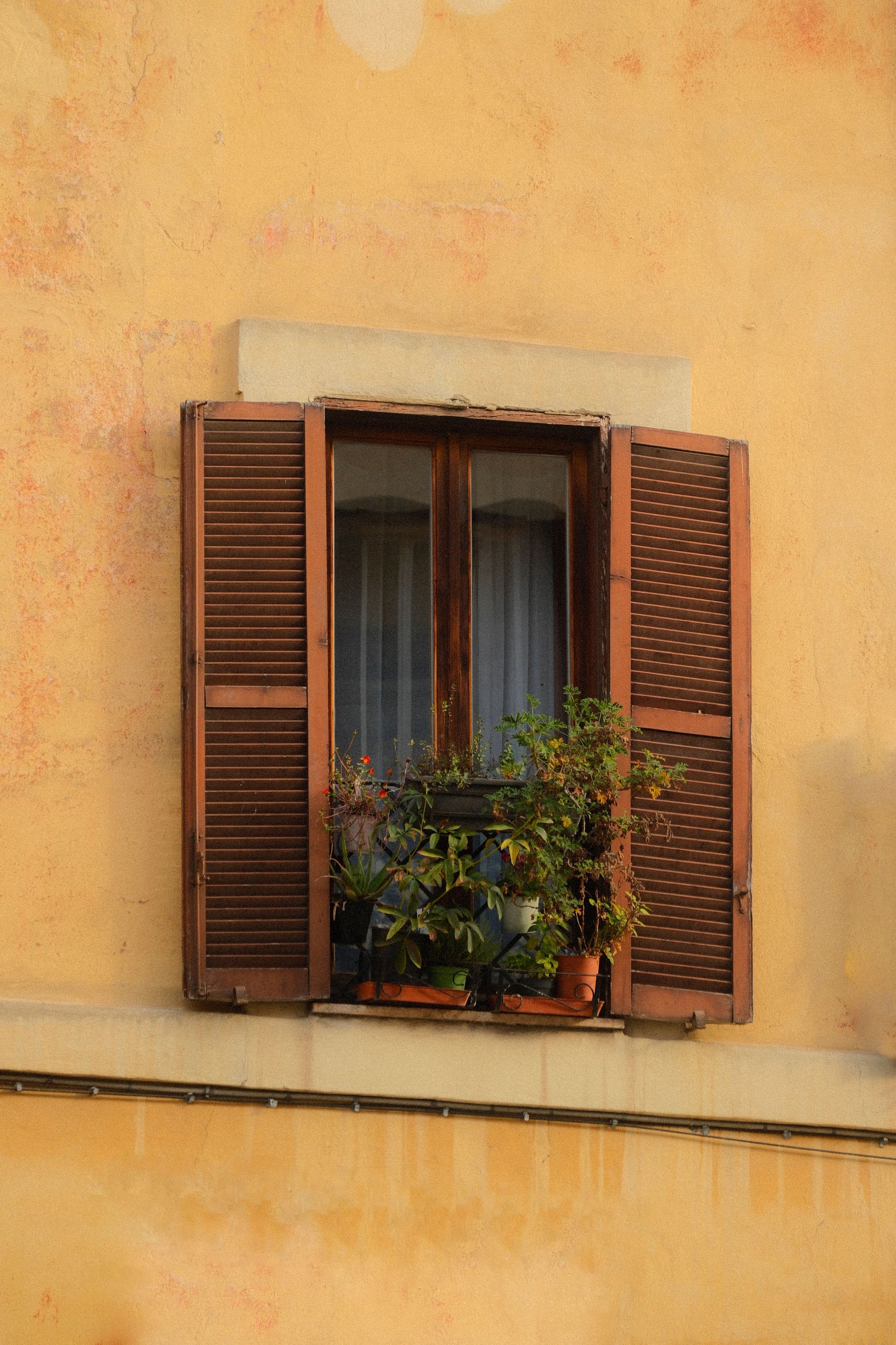 Traditional Ligurian apartment window with wooden shutters and potted plants, reflecting the charm of restoredd apartments in liguria and authentic Italian architecture.