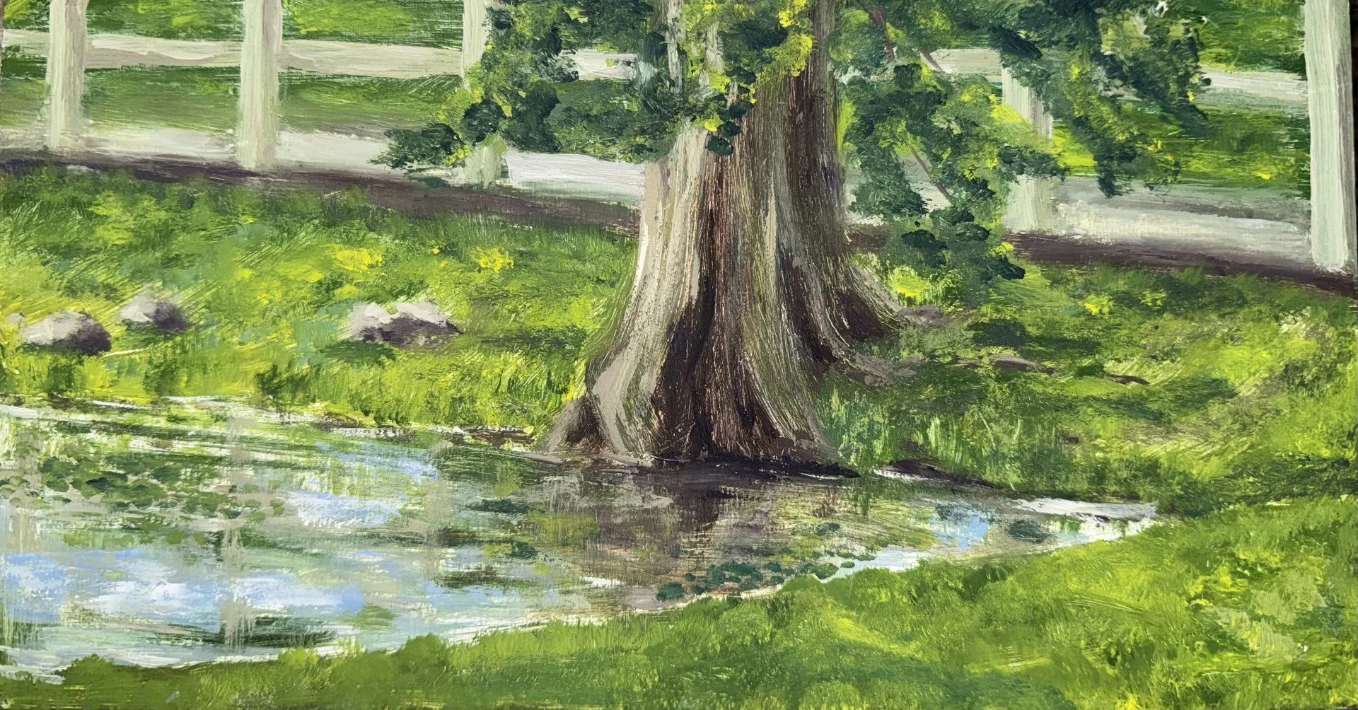 Reflecting Tree, Oil on canvas panel, 6.5x 12 inches, May 2024