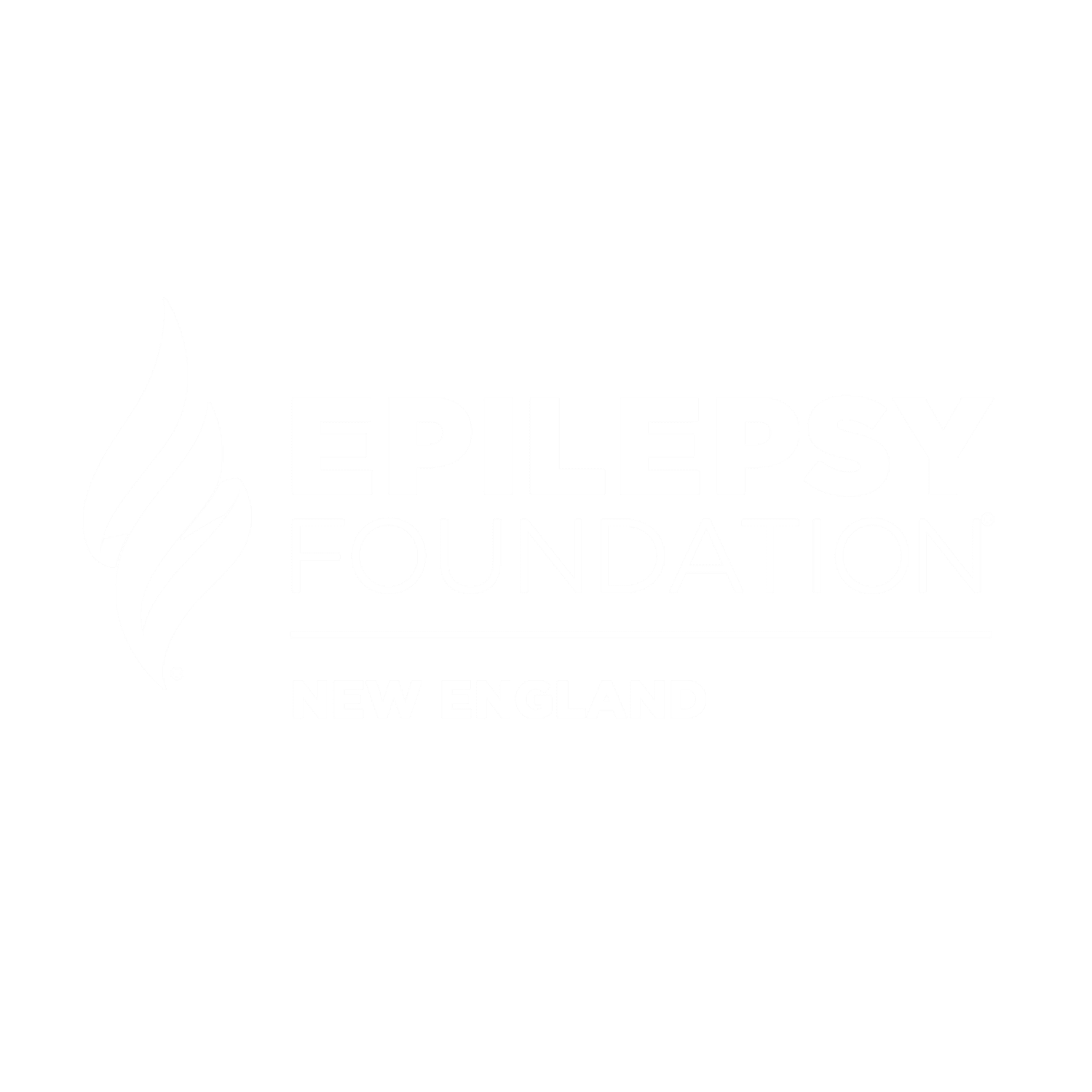 Epilepsy Foundation New England