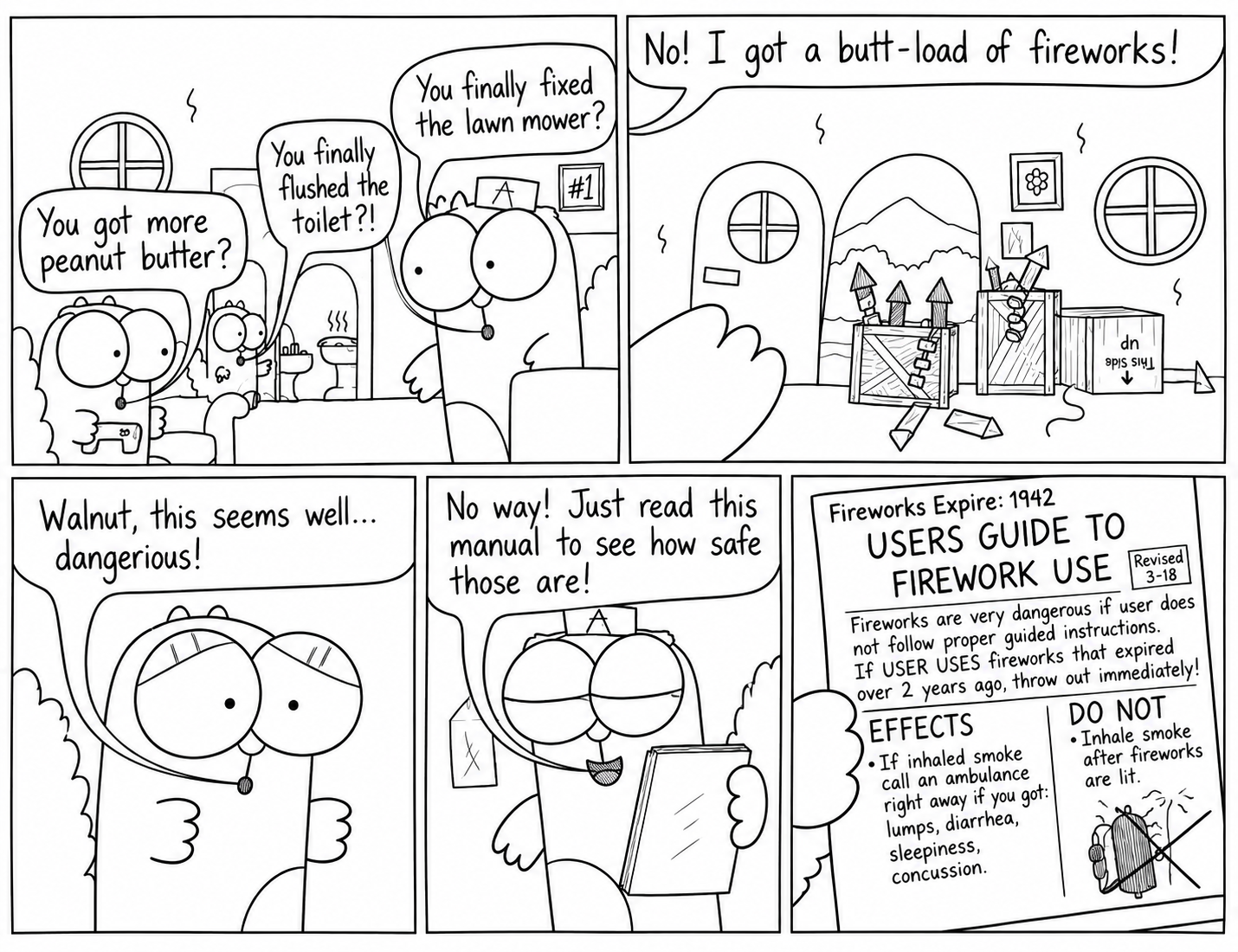 Fireworks Safety and Household Chaos.png