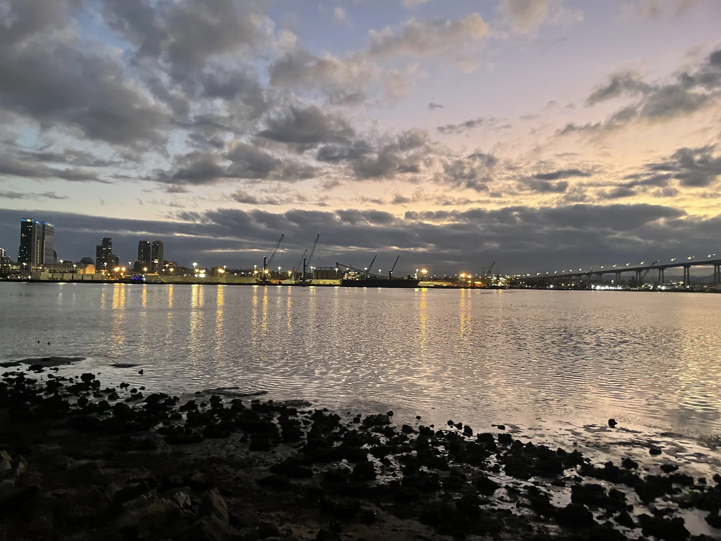 City skyline with tall buildings and cranes across a body of water, under a cloudy sky during sunset or sunrise.
