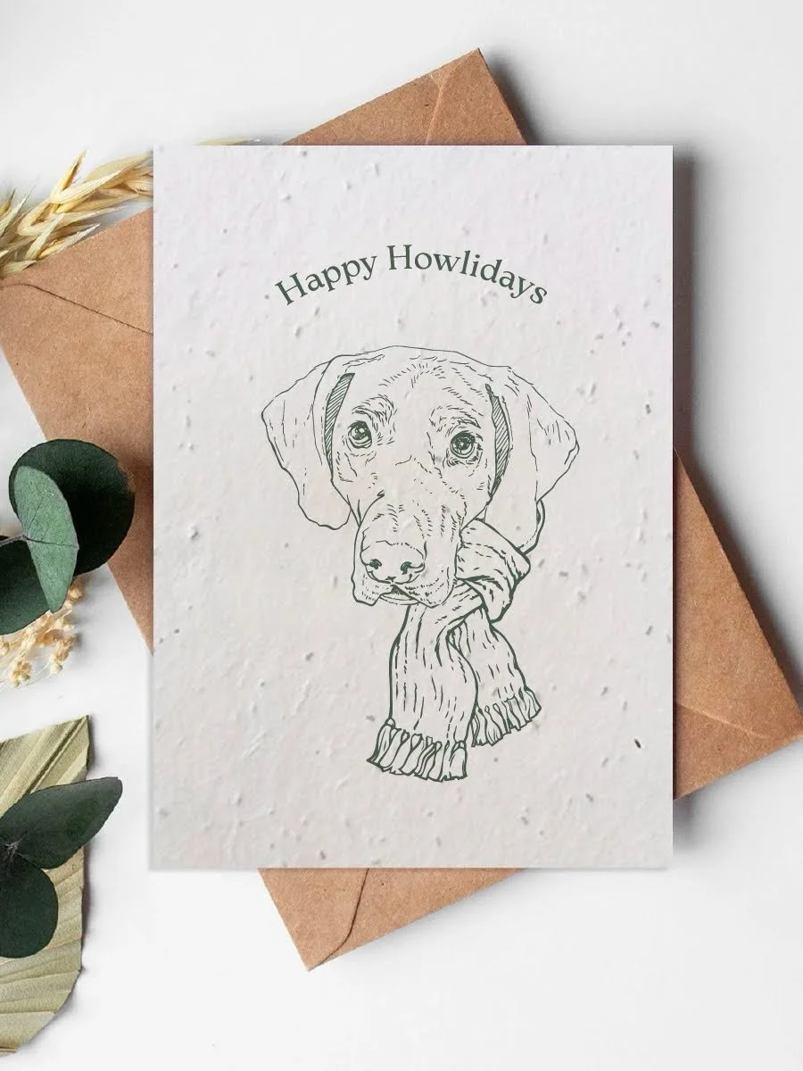 Book your custom pet portrait for this year&rsquo;s holiday card! ✨🐾✍️

Choose your favorite accessory, or simply feature your pet&rsquo;s portrait and choice of holiday headline. (Let me know your favorite accessory in the poll!) 

Message me for m