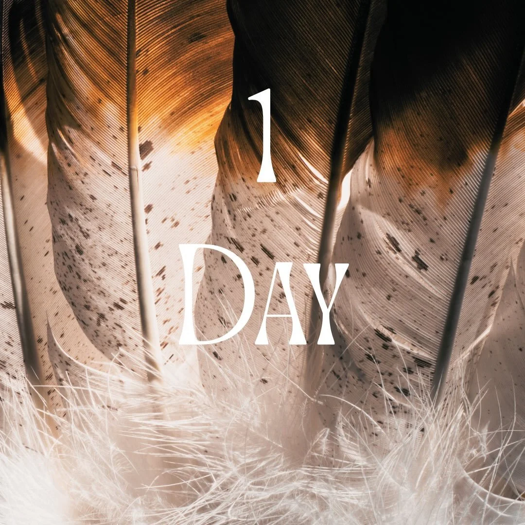 Only 1 day to go and I&rsquo;m already ready to hit publish &hellip; but I&rsquo;II wait! 😁🤪😂

#oneday #onedaytogo #newjewellery #signaturecollection