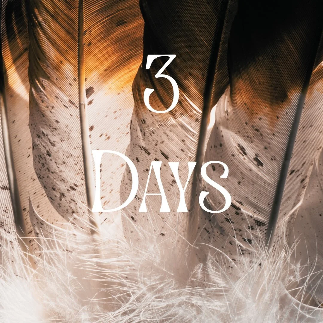 I&rsquo;m sorry I&rsquo;ve been so quiet folks, the heat here in the UK has been extreme and the last few days and it zaps your energy so bad! 🥵 Thankfully the days are cooler this week, which is perfect as it&rsquo;s launch week! 🤩 

I am so excit