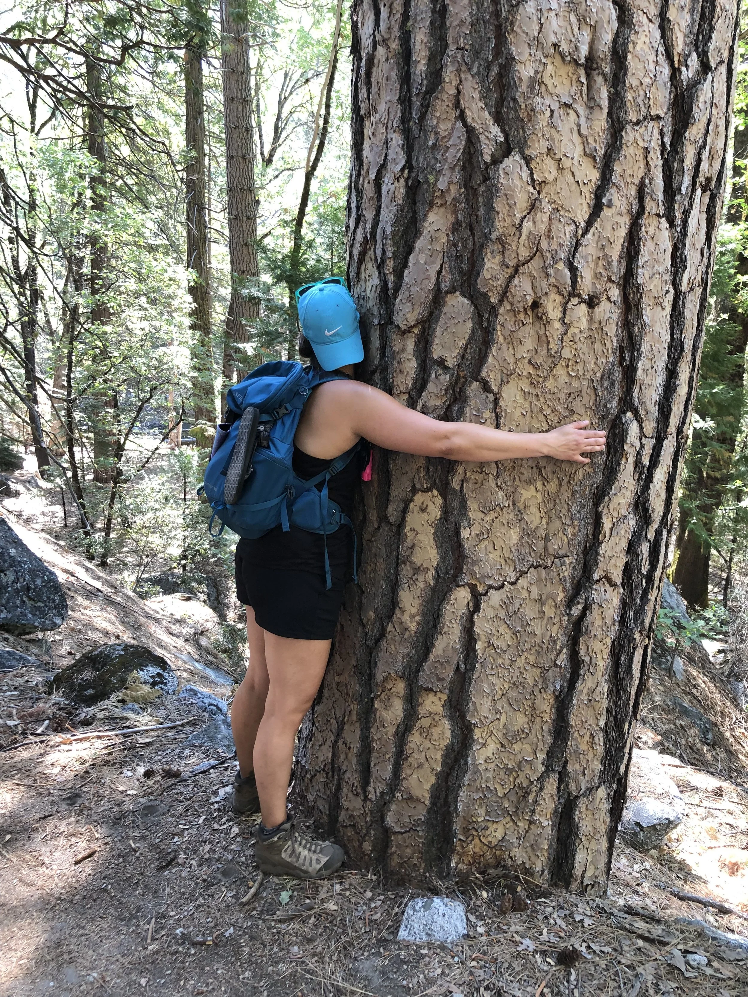 A person wearing hiking boots, black shorts, a black top, a blue backpack, and a blue Nike cap hugging a large tree in a forest, with other trees and rocks visible in the background, and dappled sunlight filtering through the leaves.