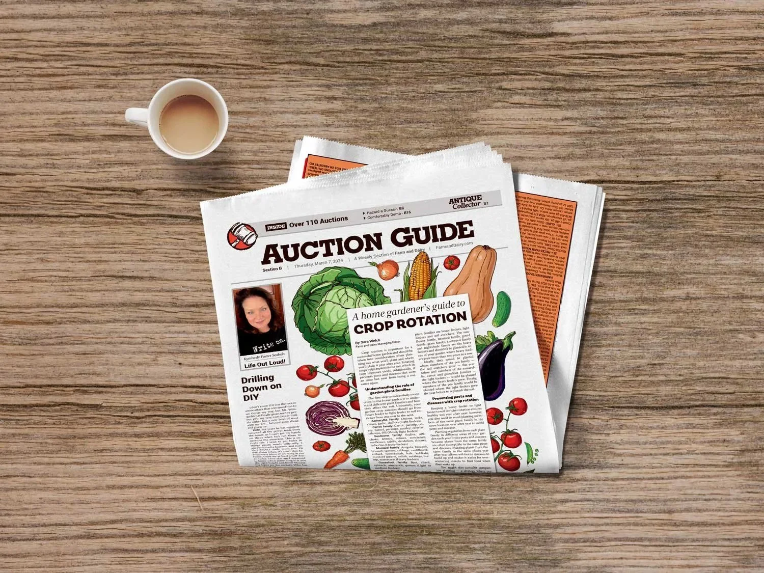 2024-Auction-Garden-Illustration.jpg