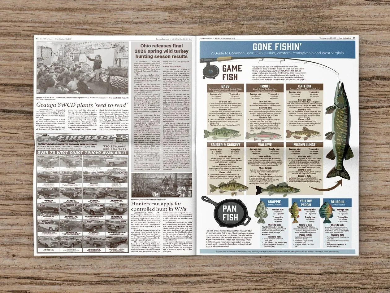 fishing-illustration-infographic.jpg