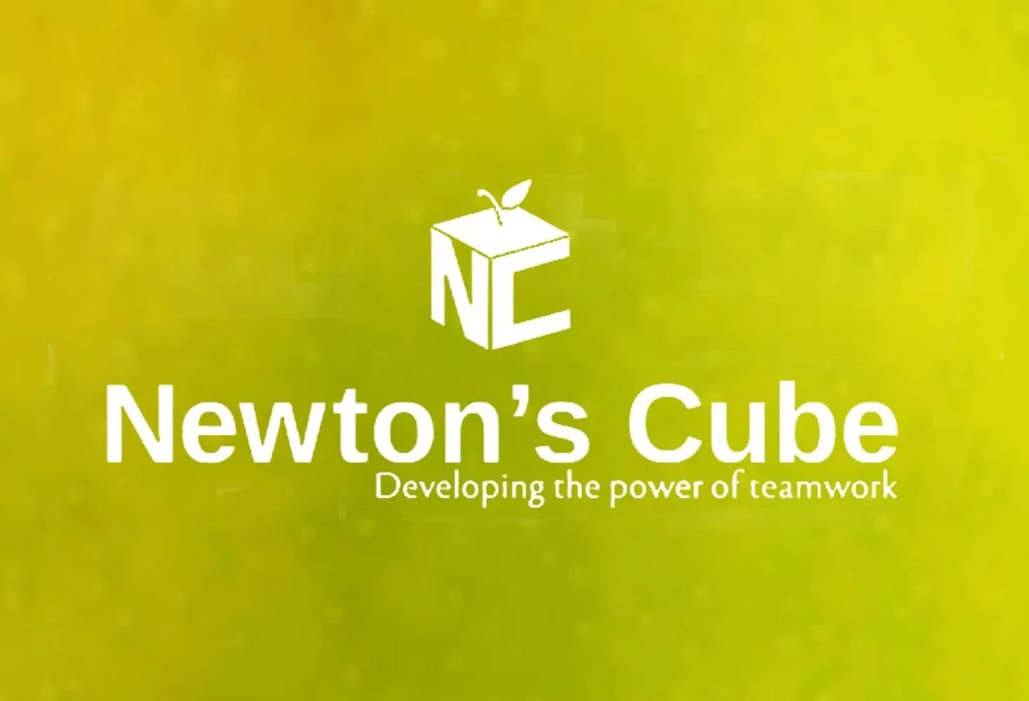 Newton's Cube