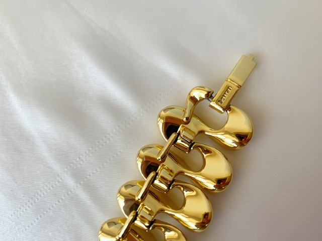 Rev Lisner Shell Closeup.png
