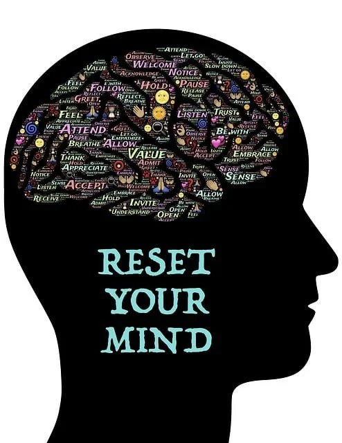 Silhouette of a person’s head with a brain made up of positive words and emojis, and the text "RESET YOUR MIND" below.