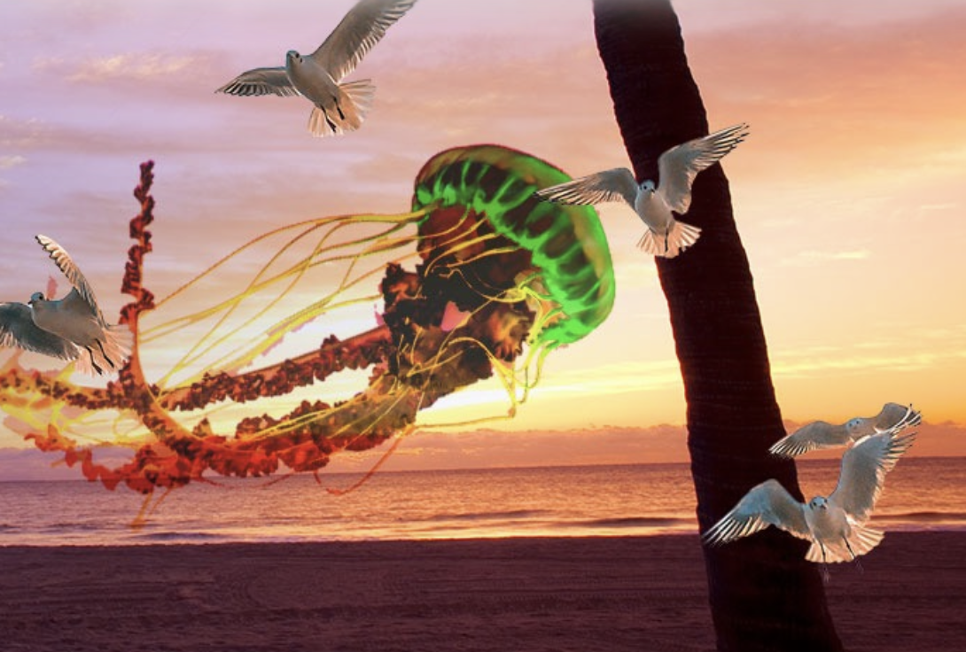 Magic Leap