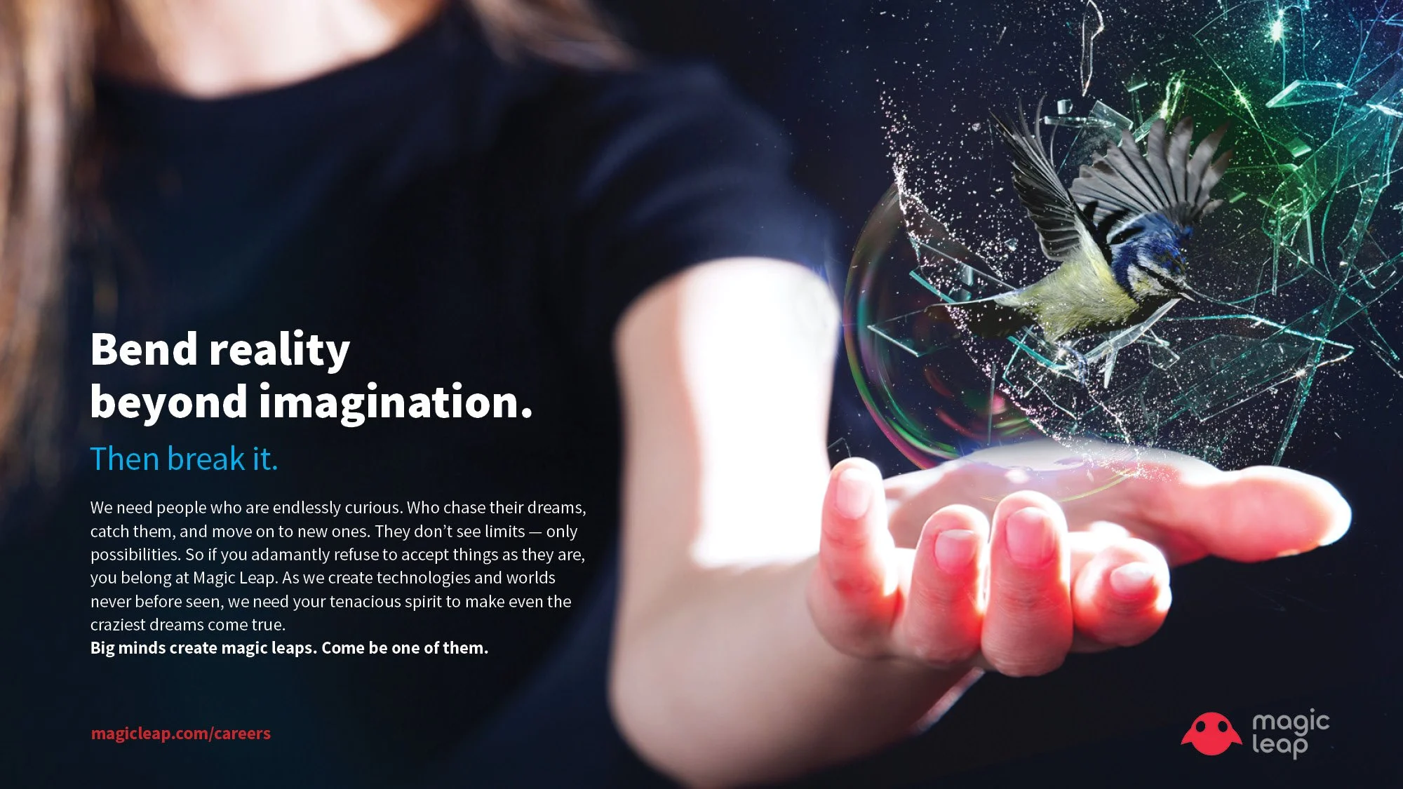 Magic Leap concept board