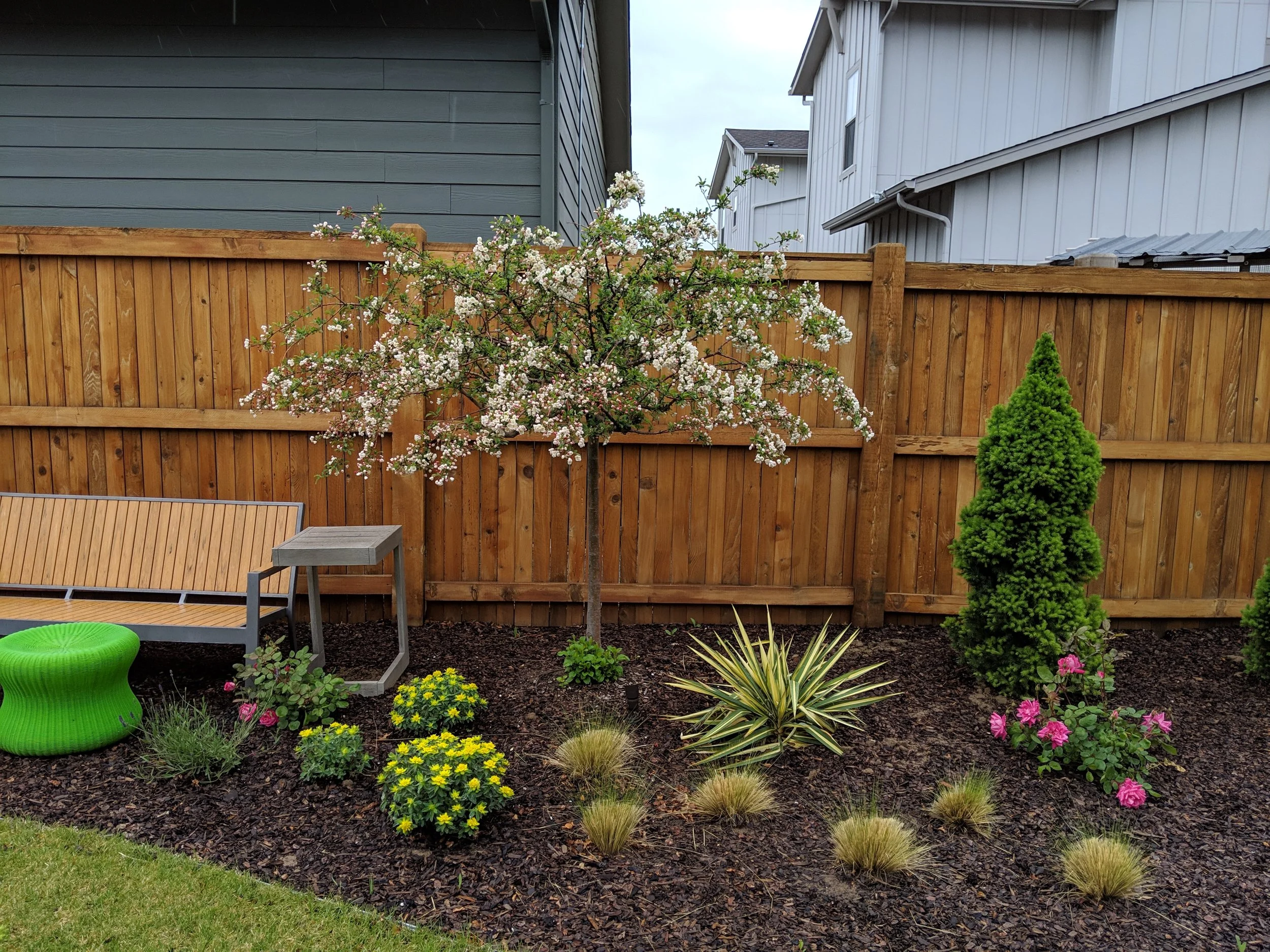 MVIMG_20190508_180207.jpg