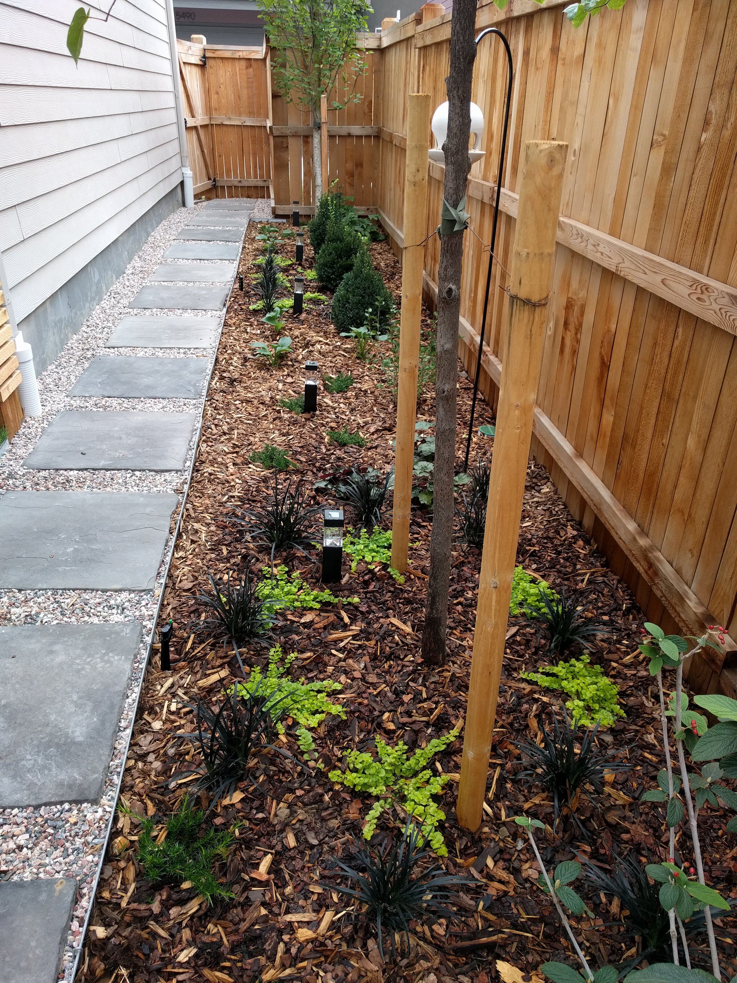 2016-09-01 08.50.37.jpg