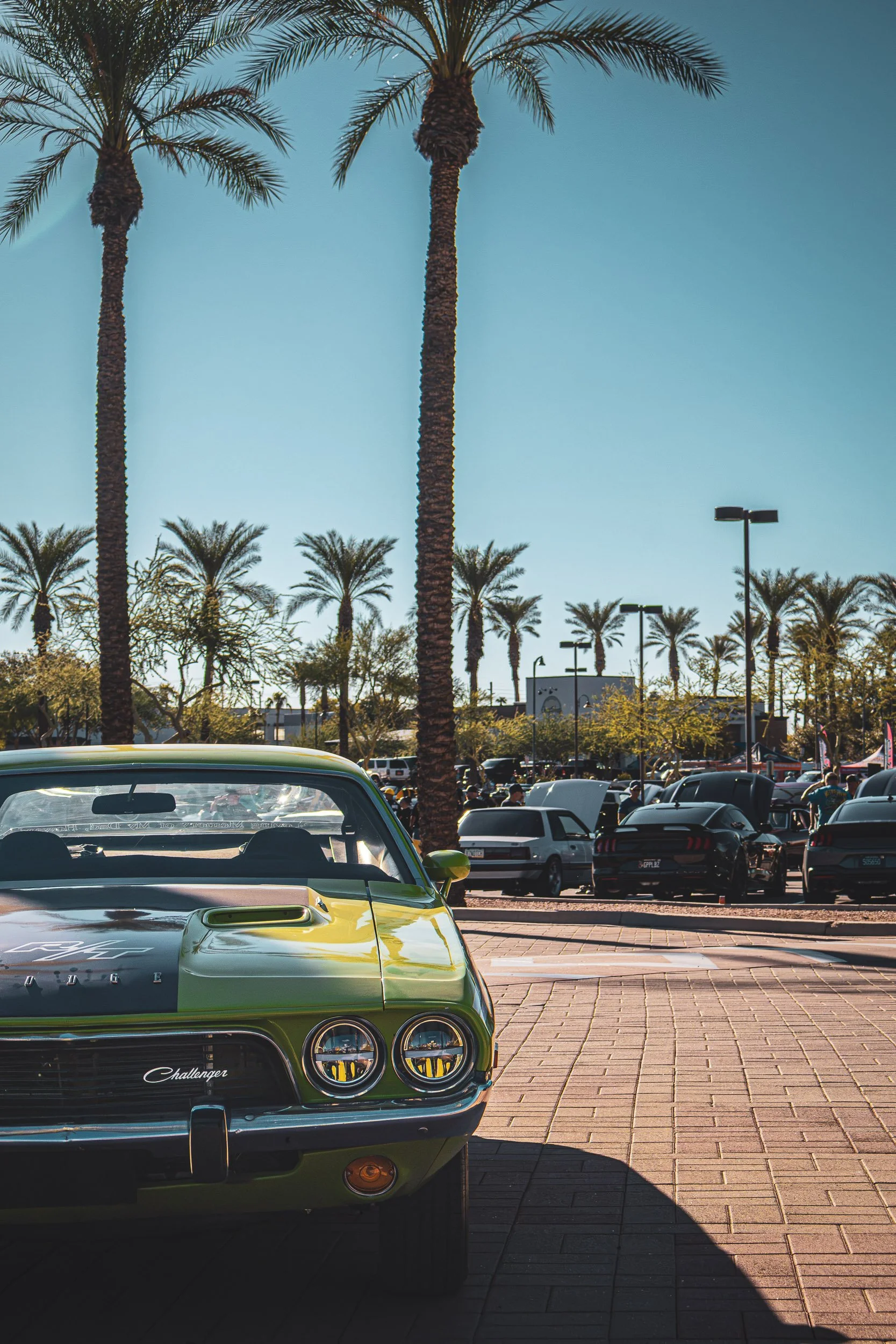 Vertical automotive photography showcasing the front fascia, black hood stripe, and R/T badging of a classic green Dodge Challenger parked beneath towering palm trees at a Mesa, Arizona car event, shot by Gasoline and Dopamine based in Gilbert, AZ.