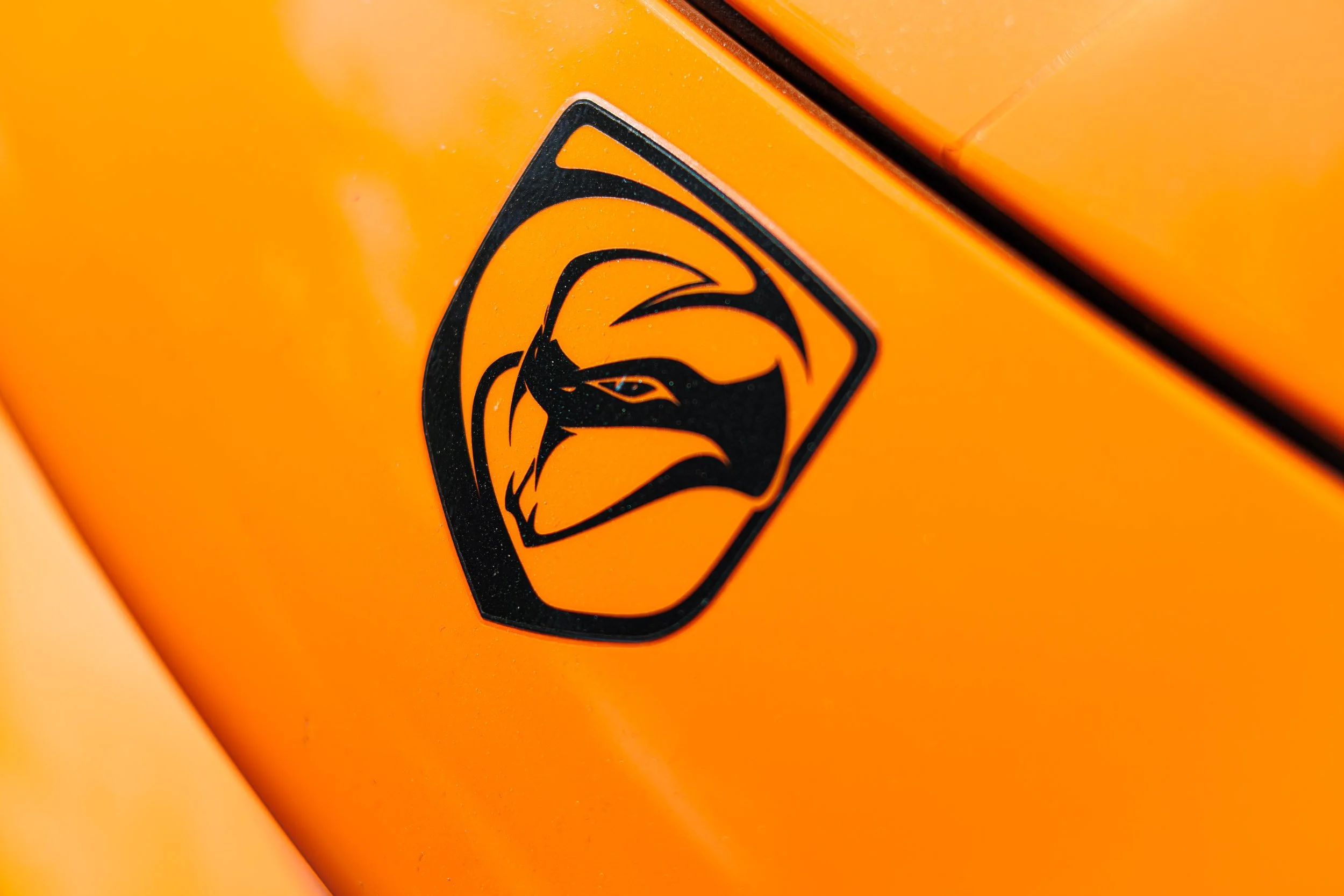 Macro detail car photography focusing on the striking black Dodge Viper emblem set against vibrant orange paint in Gilbert, Arizona, captured by Curtis from Gasoline and Dopamine.