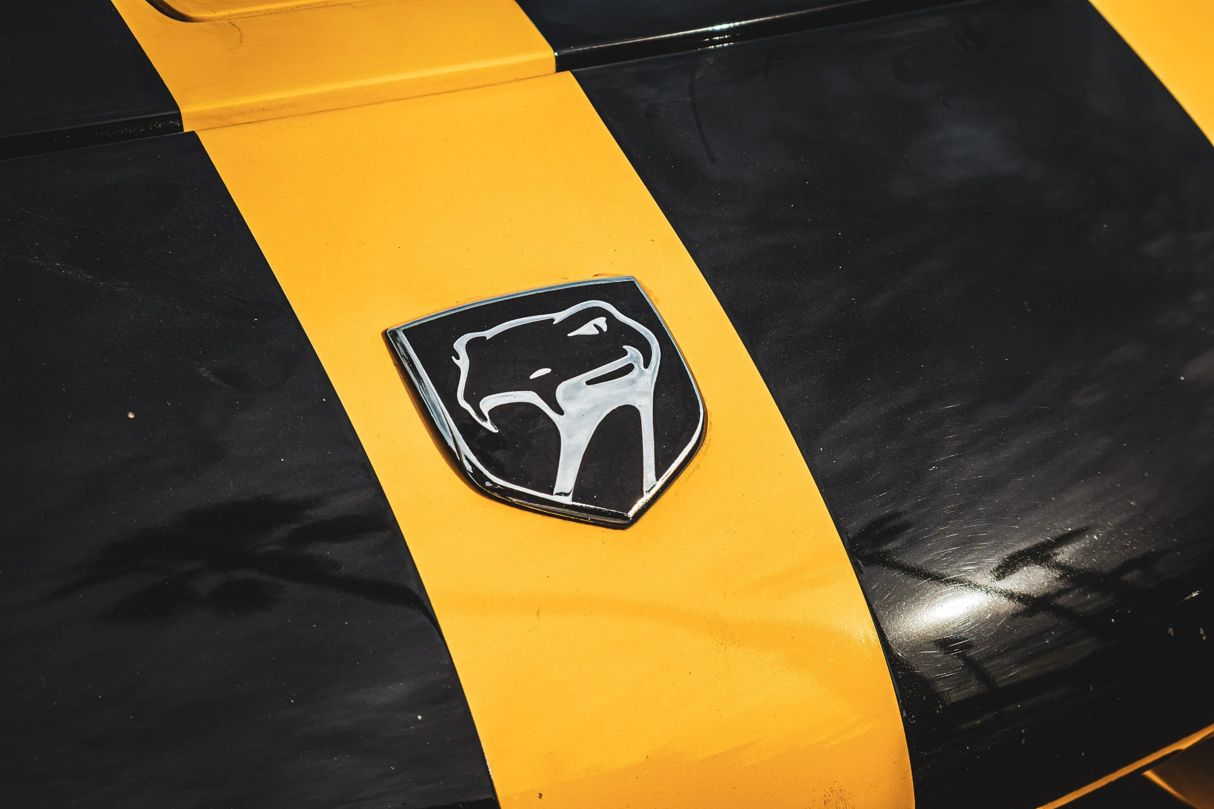 Macro detail car photography focusing on the iconic Dodge Viper hood emblem set against vibrant yellow paint and black racing stripes in Chandler, Arizona, captured by Curtis from Gasoline and Dopamine.