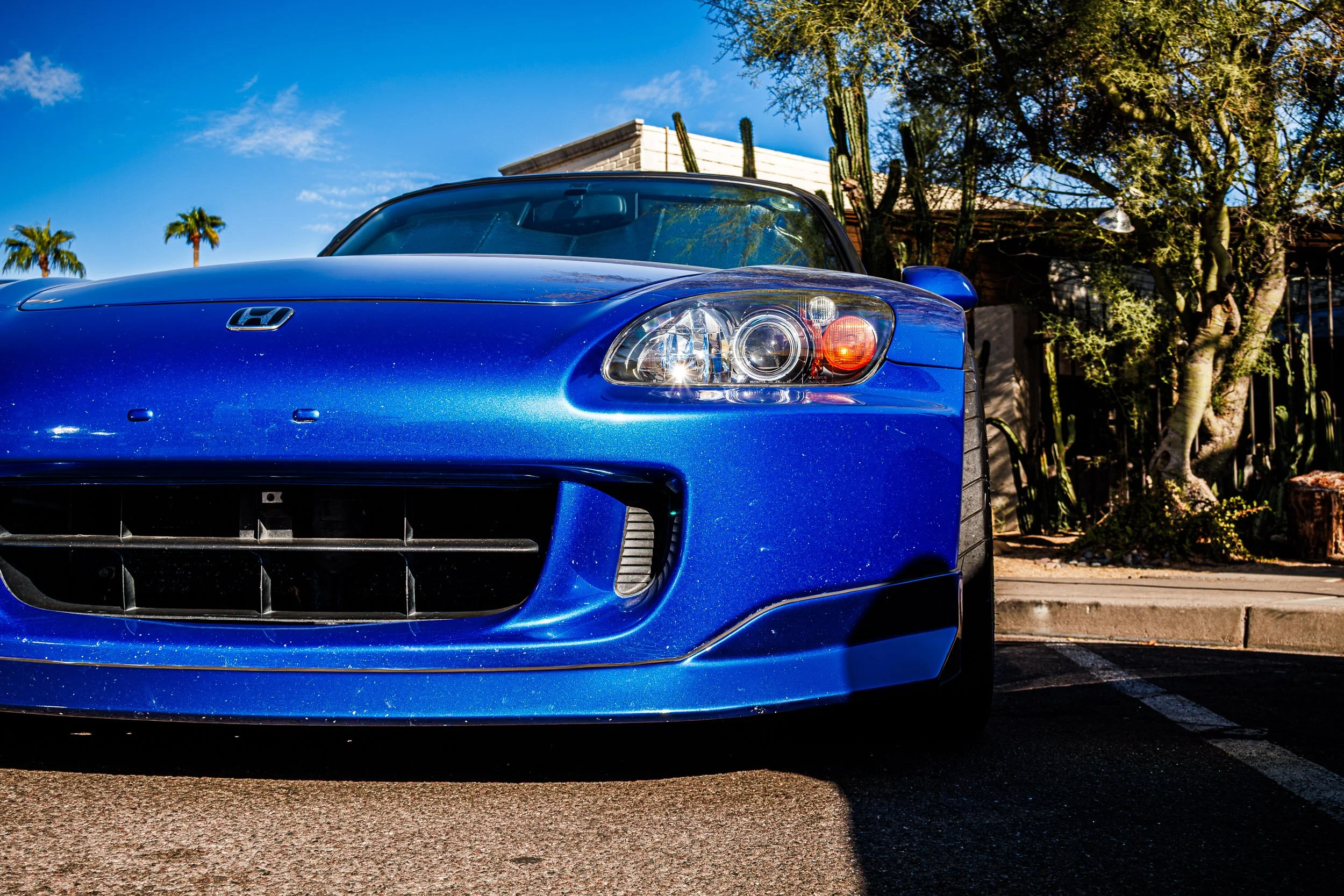 Low-angle front automotive photography highlighting the sparkling metallic blue paint, headlight assembly, and lower air intake of a Honda S2000 parked alongside desert cacti under a clear blue sky in Chandler, Arizona, captured by Curtis for Gasolin