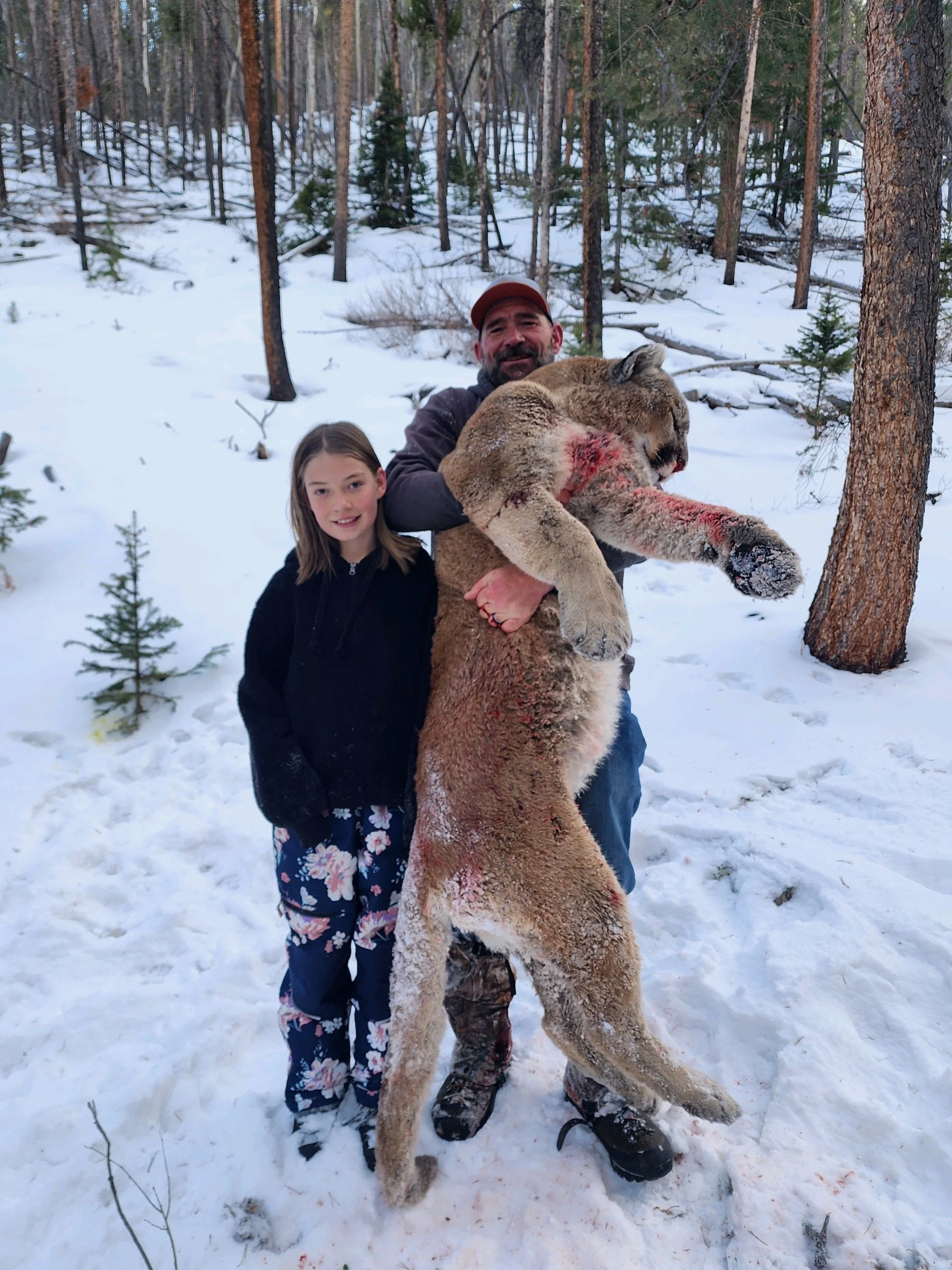 Mountain Lion Hunts