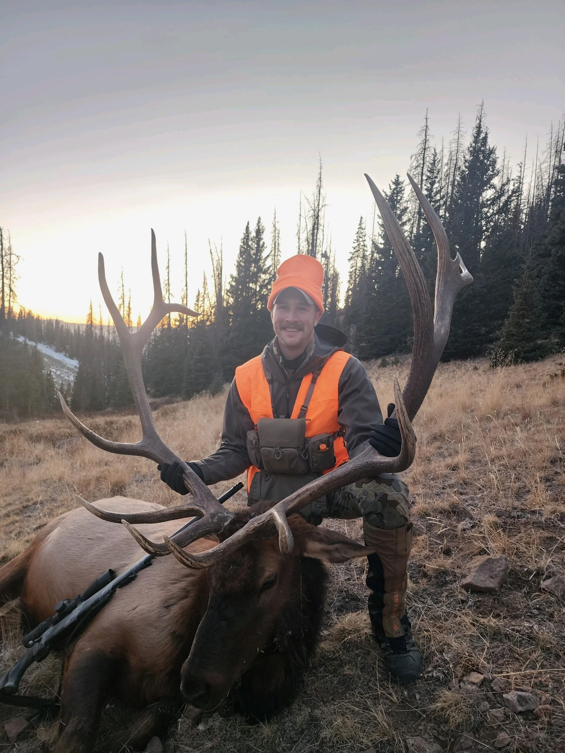 Big Game Hunting