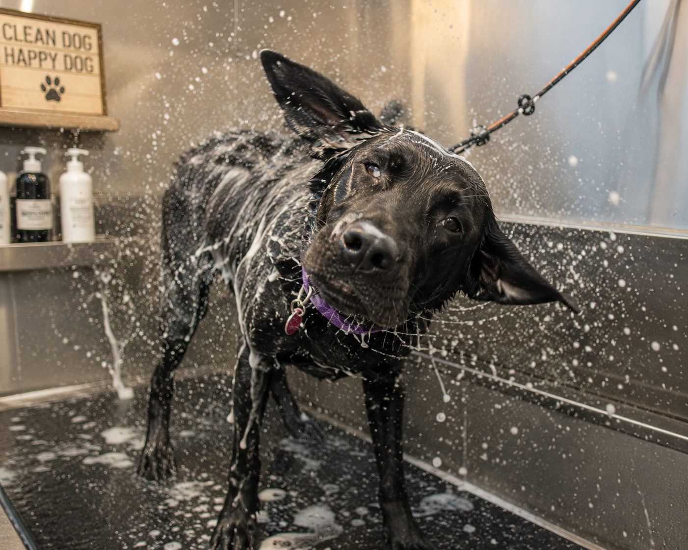 Spa Bath