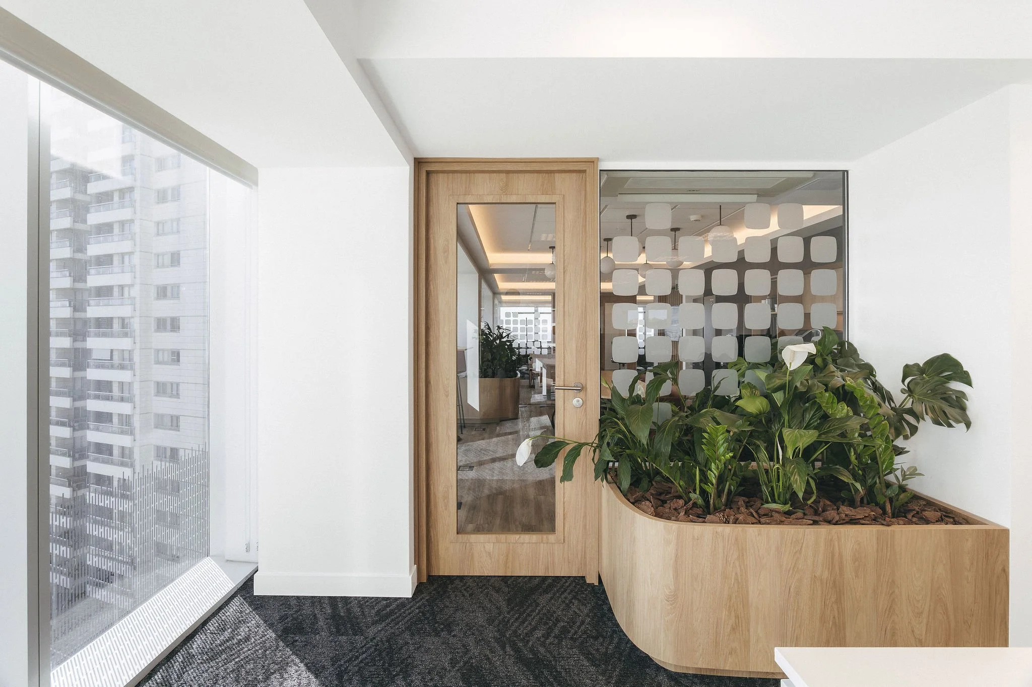 08-Piso8.jpg