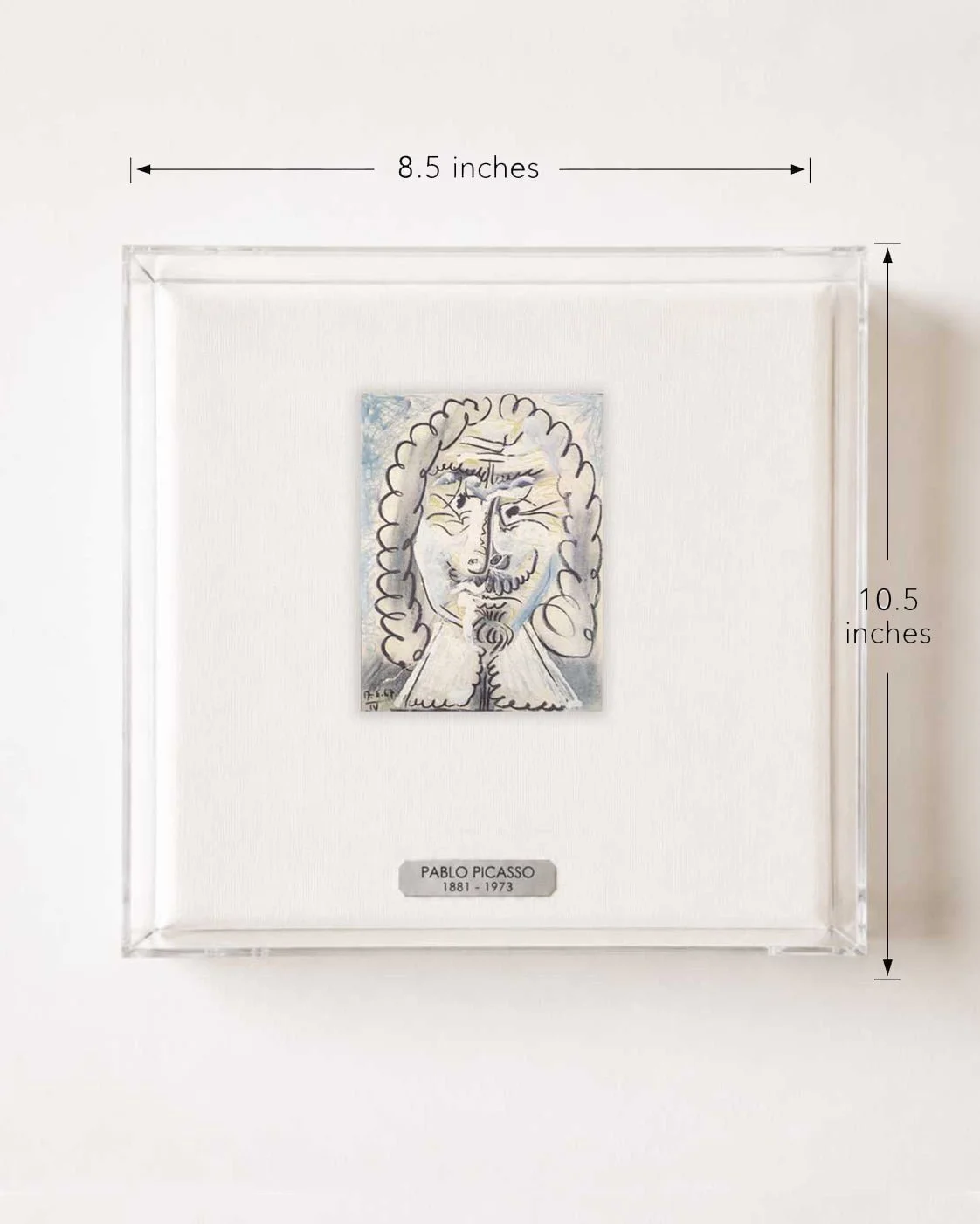 Pablo-Picasso-iPortrait-size-n-frame-measured.jpg