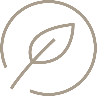 Illustration of a leaf inside a circle
