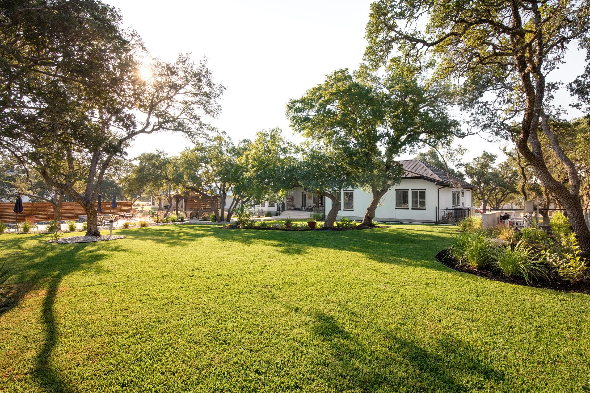 Wide green lawn with mature trees on a Hill Country property