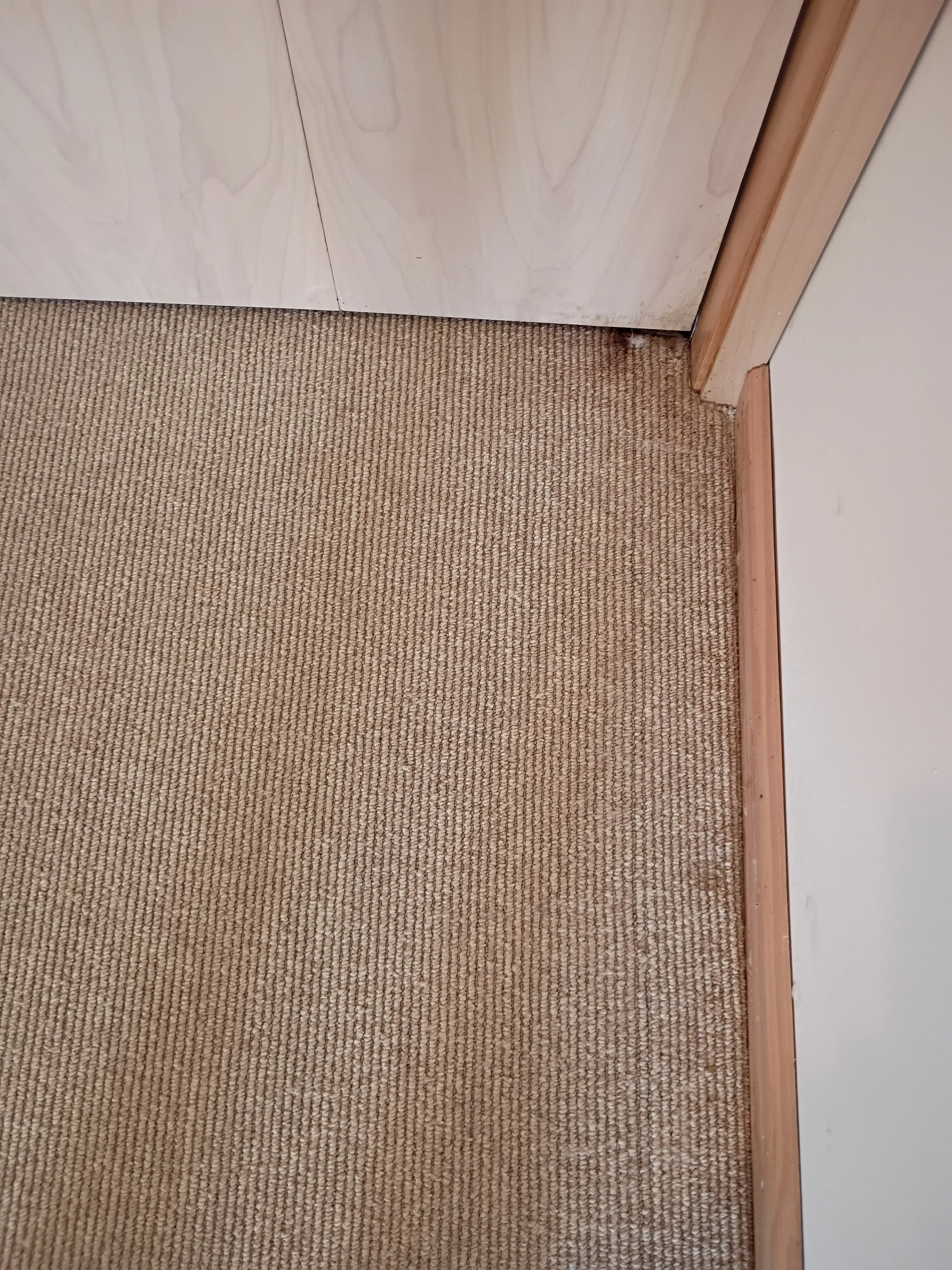 Close-up of a corner of a room with beige carpet, light wooden door, and white walls.