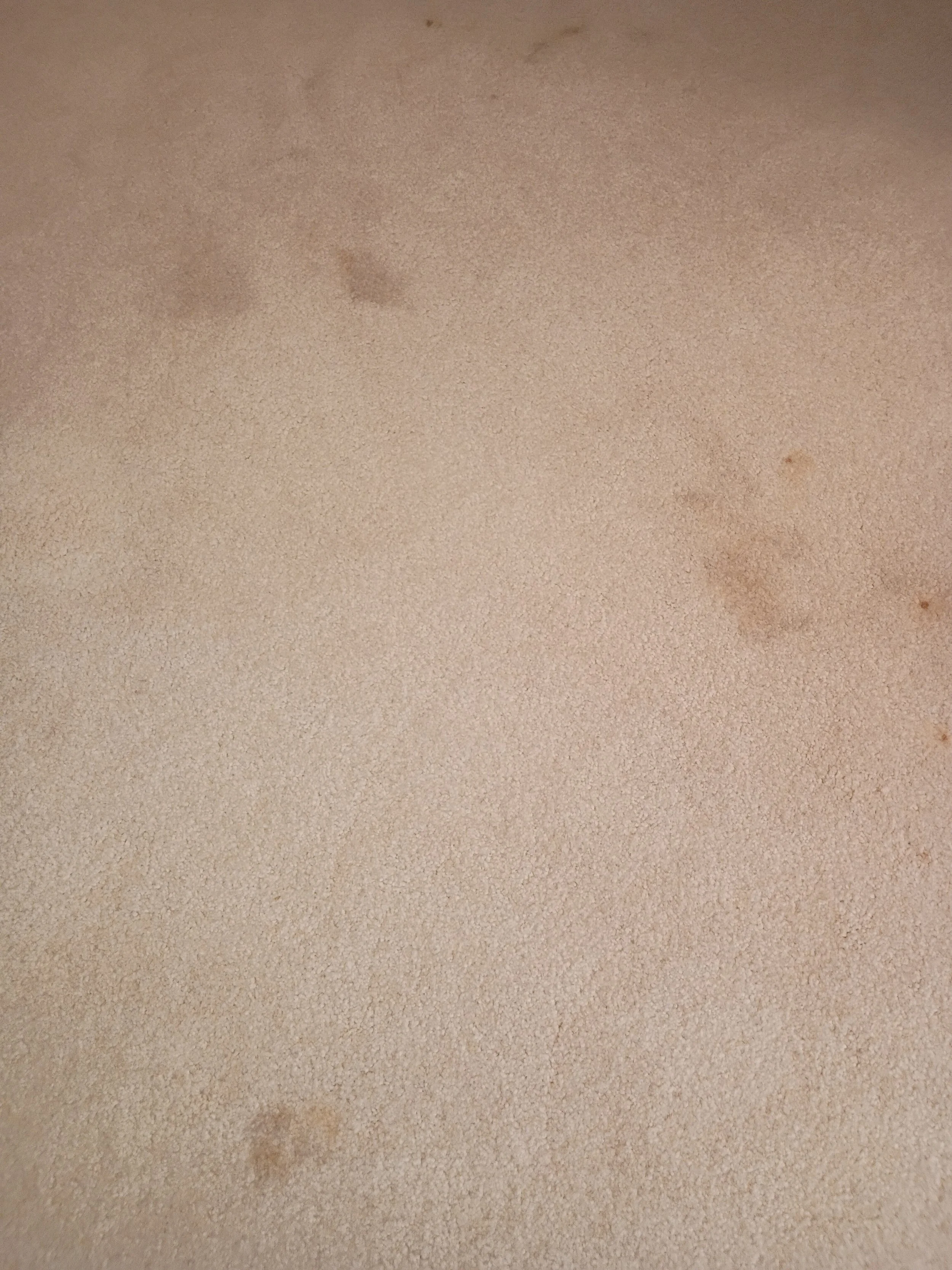 Close-up of a beige textured surface, possibly a carpet or fabric, with some darker spots.