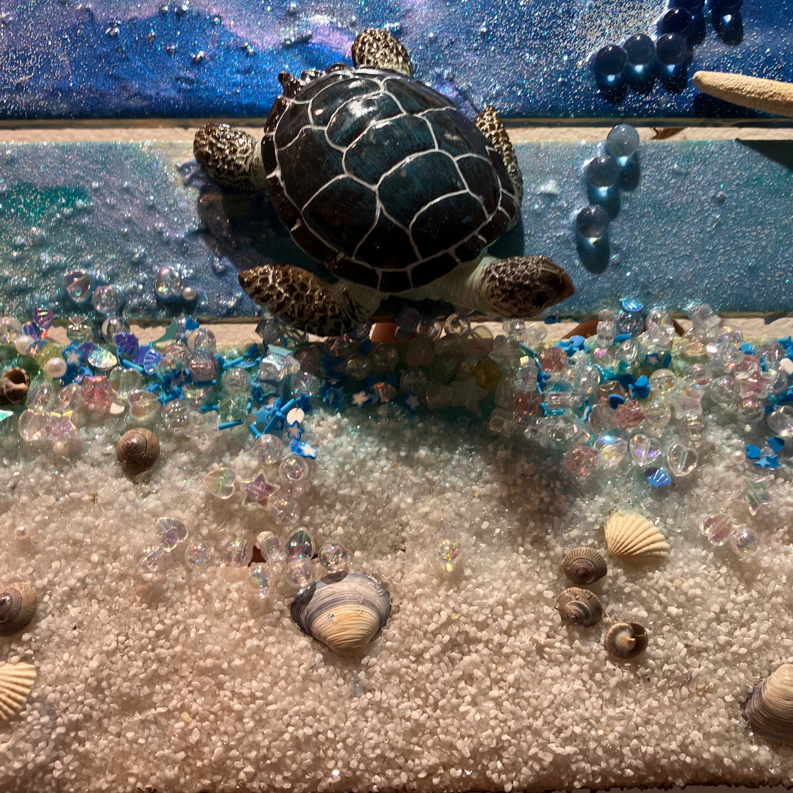Sea Turtle on Plank