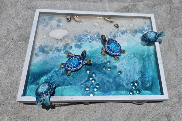 A glass observation box with water and shells, featuring five blue turtle toys inside.