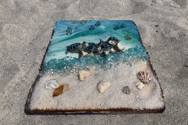 Turtles by the Ocean