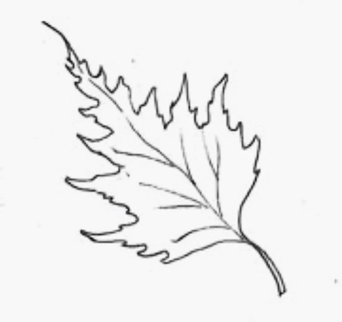 Birchleaf Press 