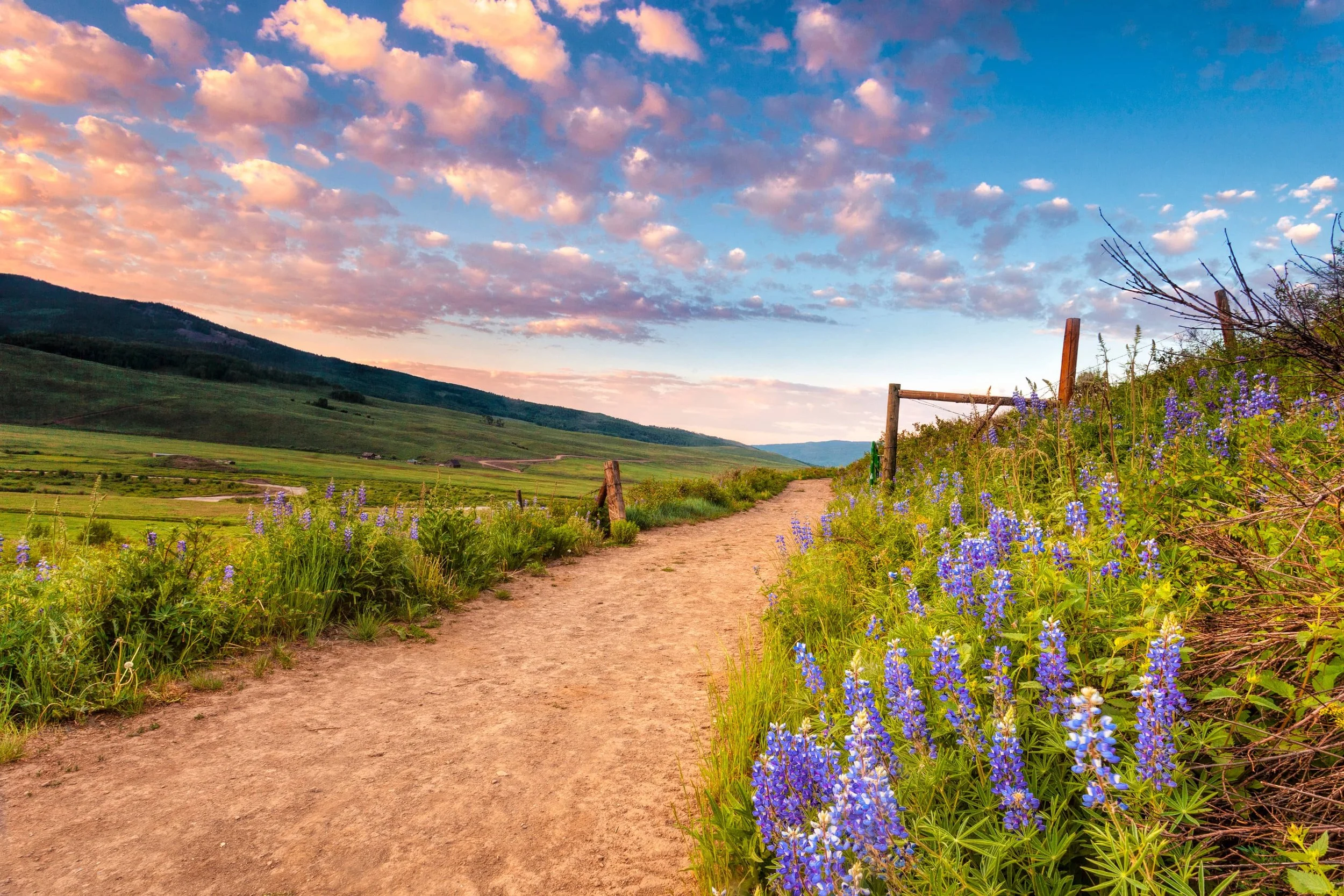 Explore our Estate Planning Services at The Law Network PC.