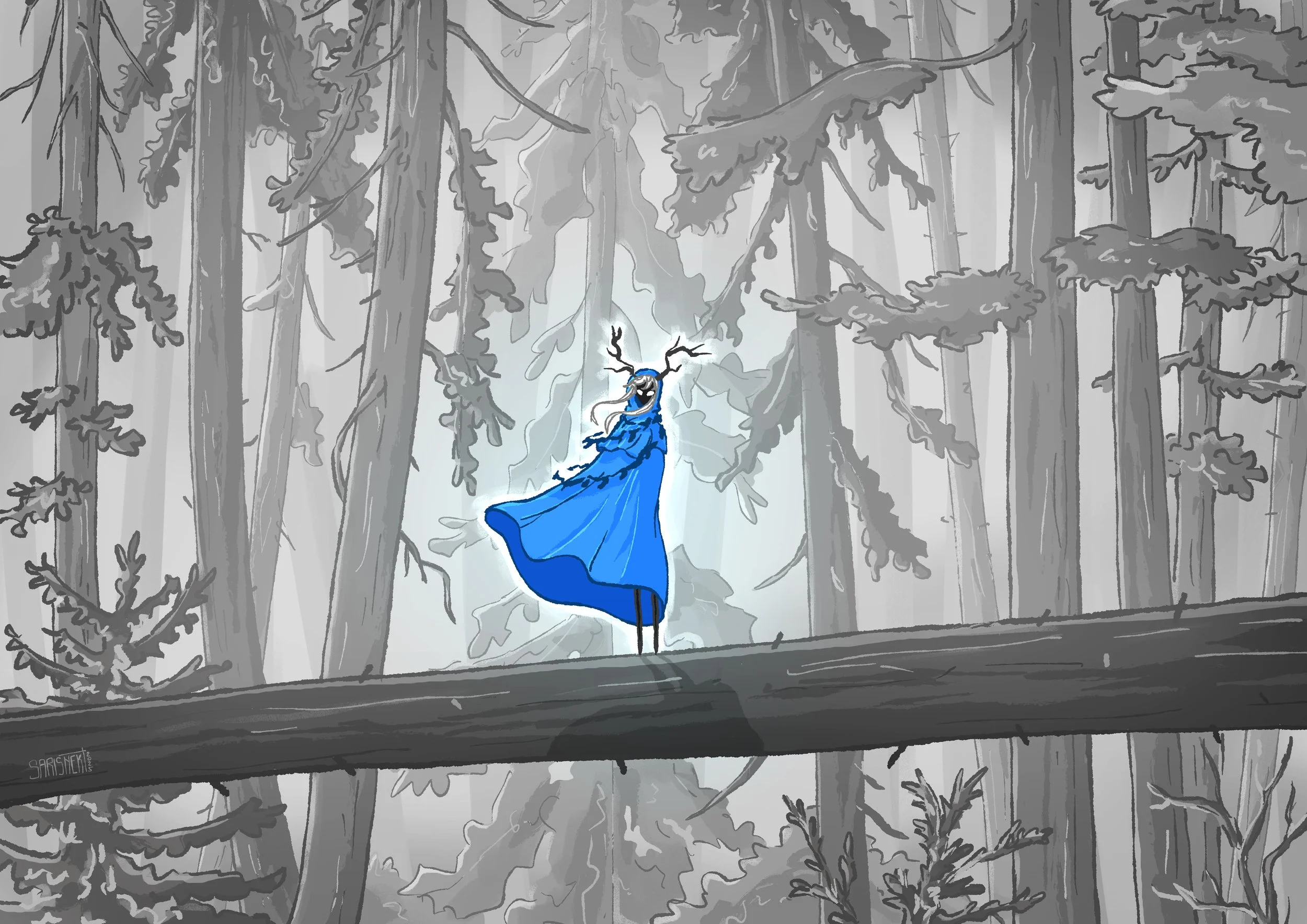 Blue cape.jpg